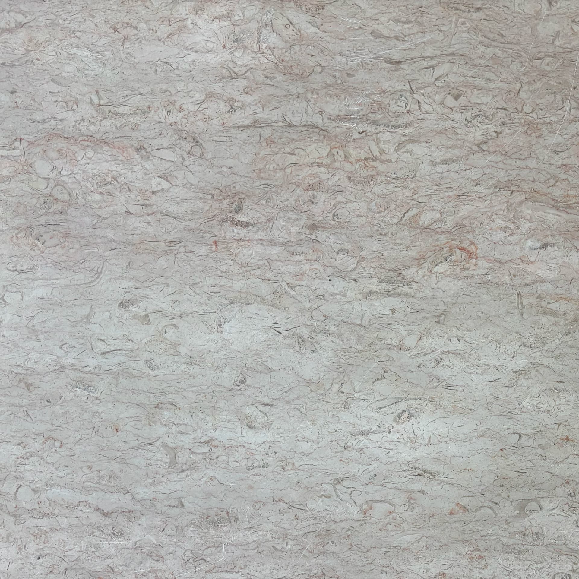 Jerusalem Ivory Mist — view 1